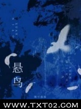 悬鸟